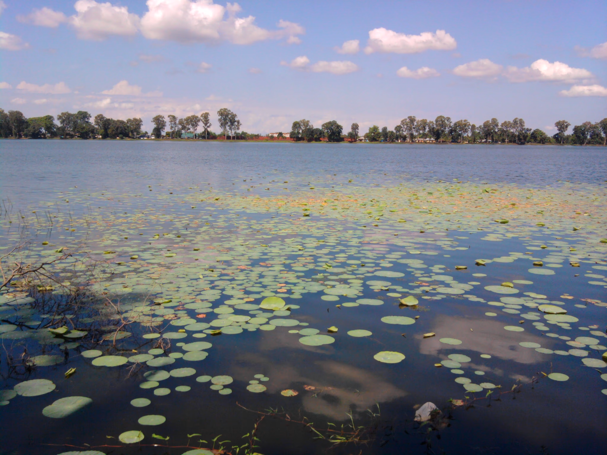 The great Sivasagar tank — a broad sheet of still water strewn with lily pads, a low tree-lined far bank beyond, under a cloud-flecked sky