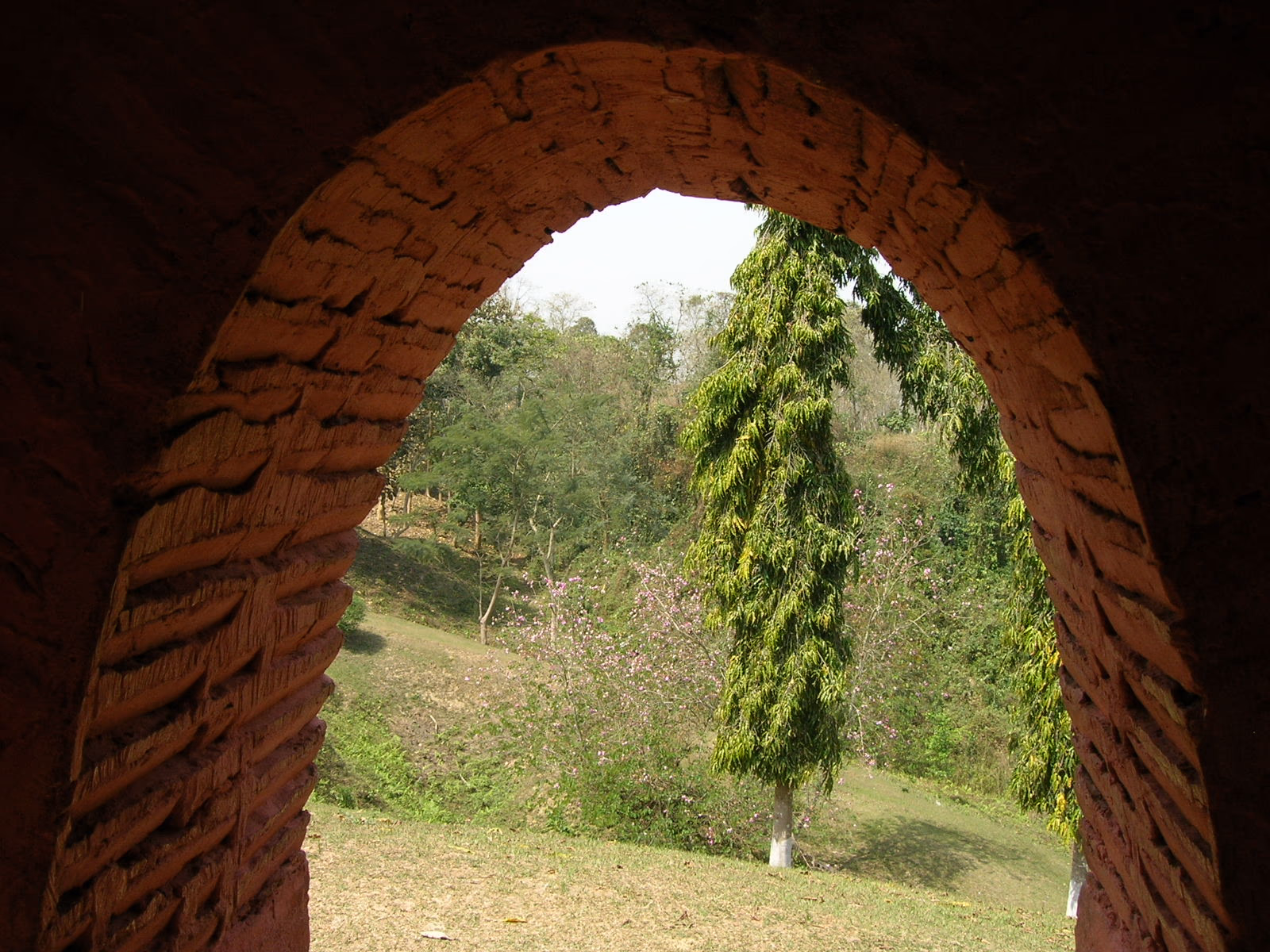 The view out through the vaulted brick entrance arch of a Charaideo maidam: a horseshoe arch of dressed and burned brick framing the green necropolis grounds and a slender conifer beyond
