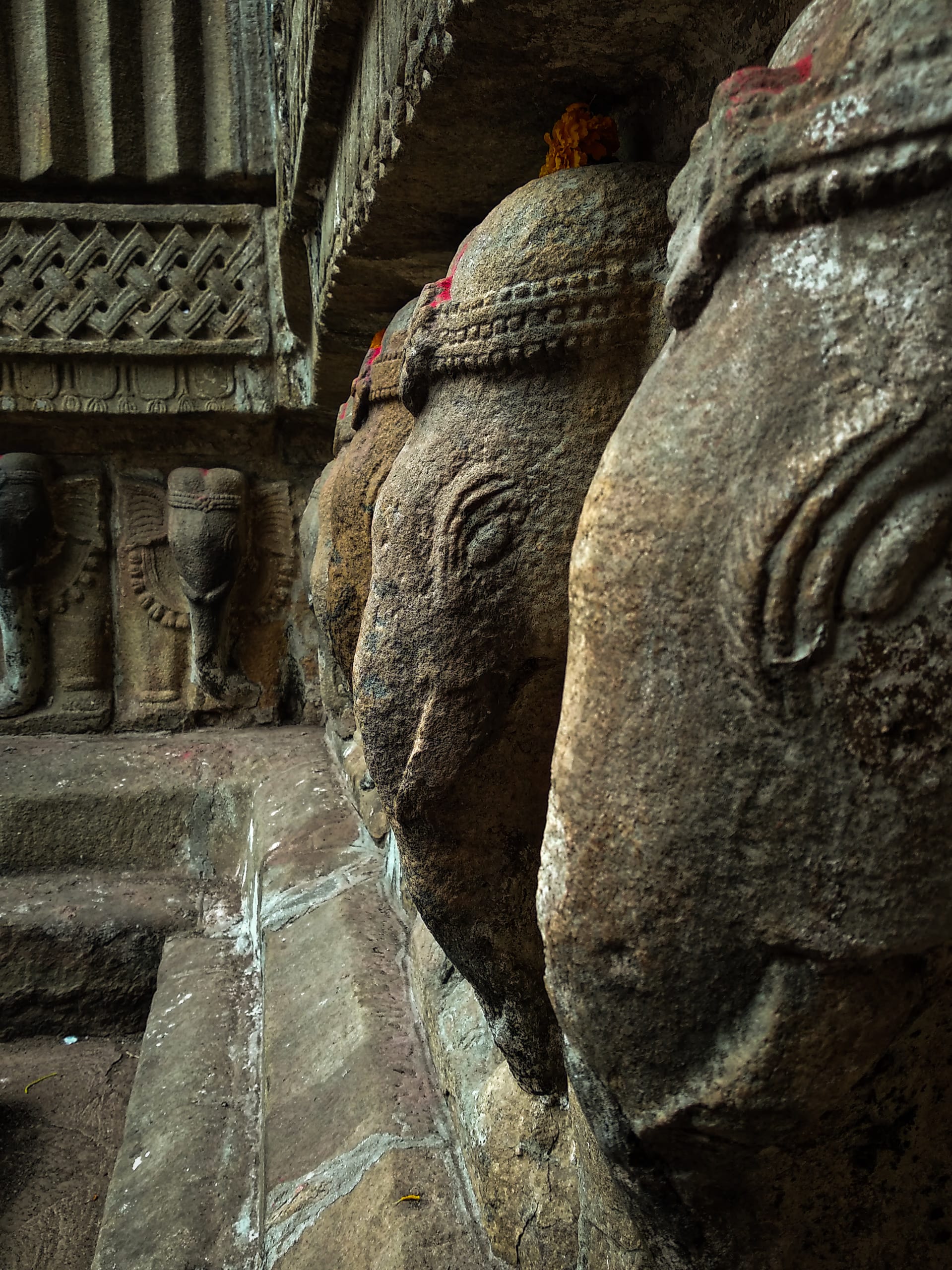 A row of carved stone elephant-head sculptures along the base of the temple wall at Hajo, their trunks and tusks worn smooth, lit in raking light, with smaller figural reliefs receding behind