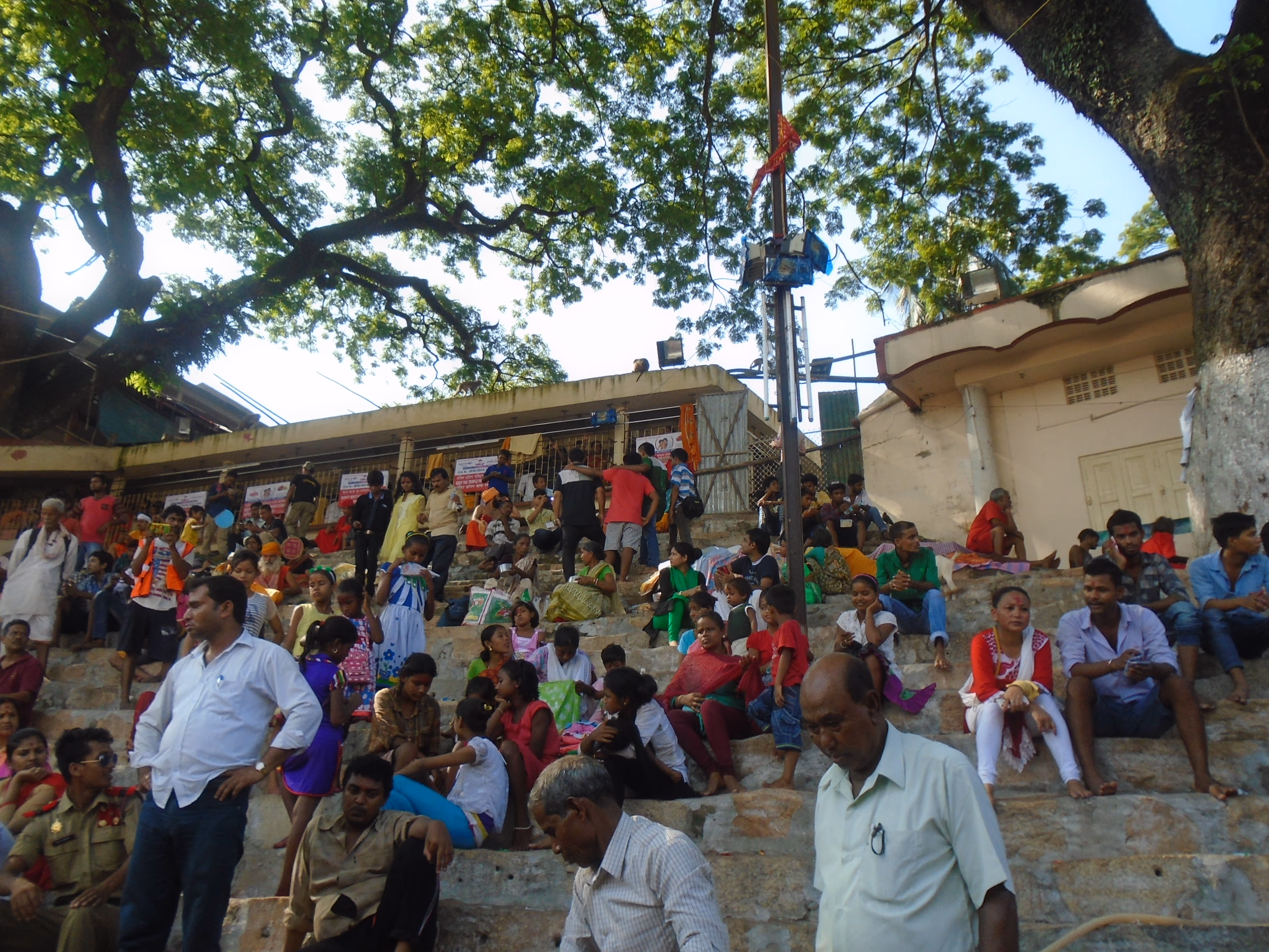 Crowds of pilgrims seated and standing on the broad stone steps beneath a large spreading tree at the Kamakhya complex during the Ambubachi Mela, festival banners and shopfronts behind