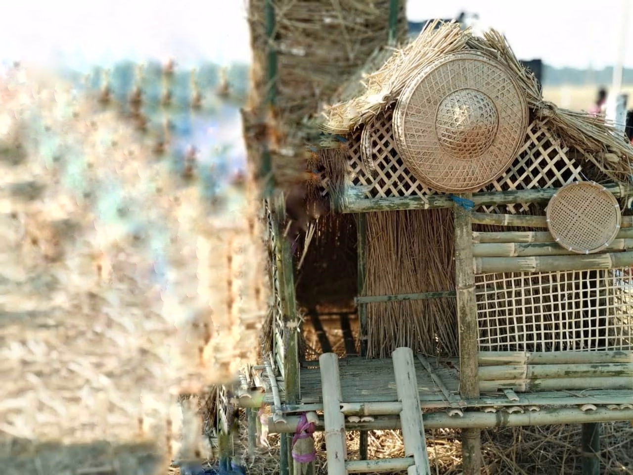 A makeshift hut of straw, thatch and bamboo raised in a harvested field, with woven bamboo trays and a conical hat hung on its frame