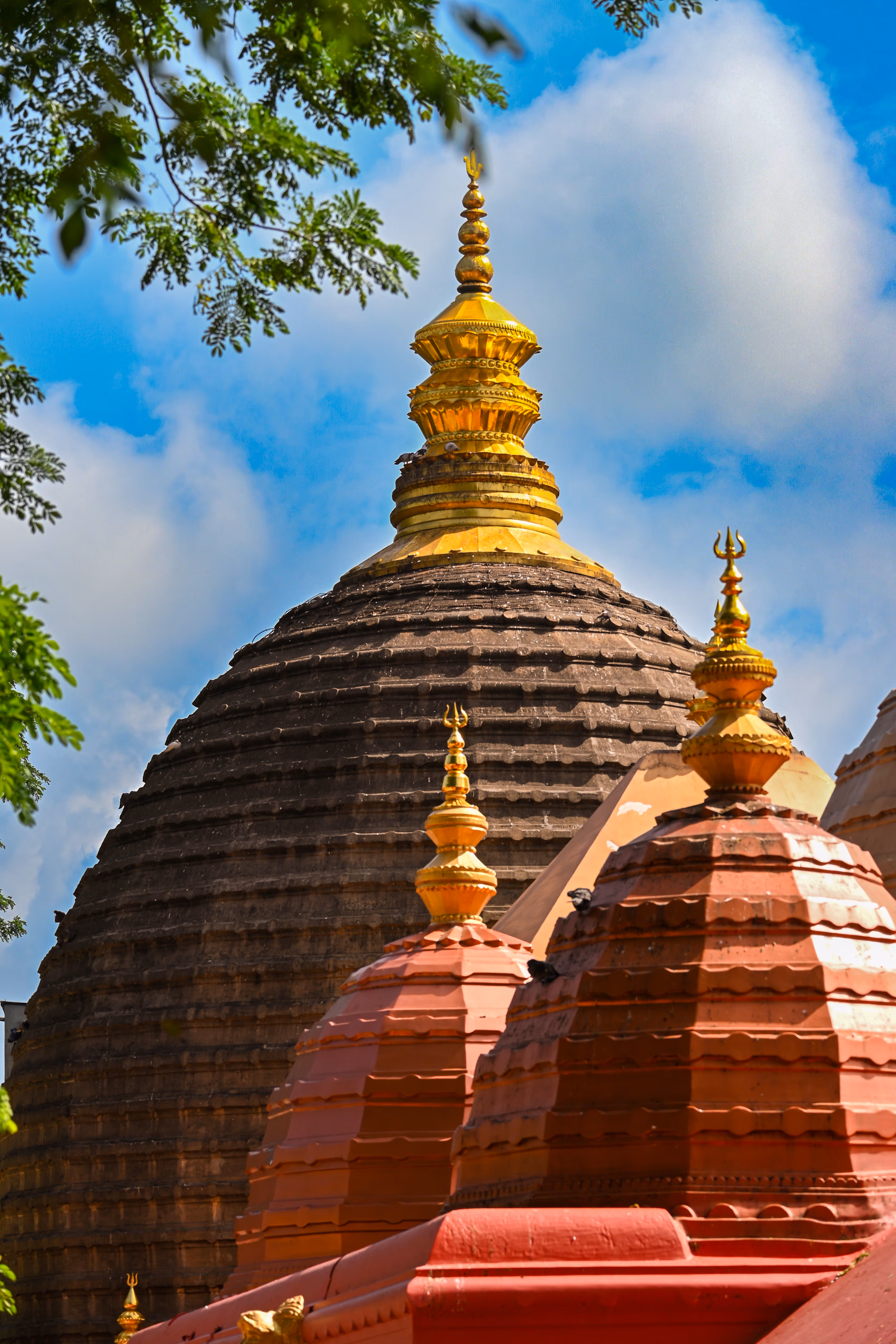 The beehive-shaped shikhara of Kamakhya Temple with its gilded finial against a blue sky, red domes in front, framed by green leaves